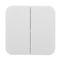 Выключатель Schneider Electric Blanca BLNVA105011 двухклавишный открытая установка белый
