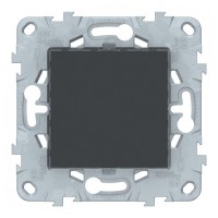 Заглушка Schneider Electric Unica NEW NU586654 скрытая установка антрацит 45x45 мм