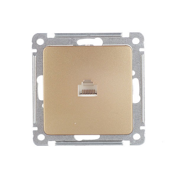 Розетка компьютерная HEGEL Master РСК-400-07 скрытая установка золото один модуль RJ45