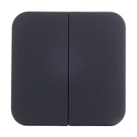 Выключатель Schneider Electric Blanca BLNVA105016 двухклавишный открытая установка антрацит