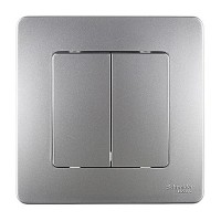 Выключатель с рамкой Schneider Electric Blanca BLNVS010503 двухклавишный скрытая установка алюминий