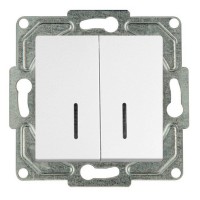 Выключатель GUNSAN Eqona 16401100-150104 двухклавишный скрытая установка белый IP20 с подсветкой